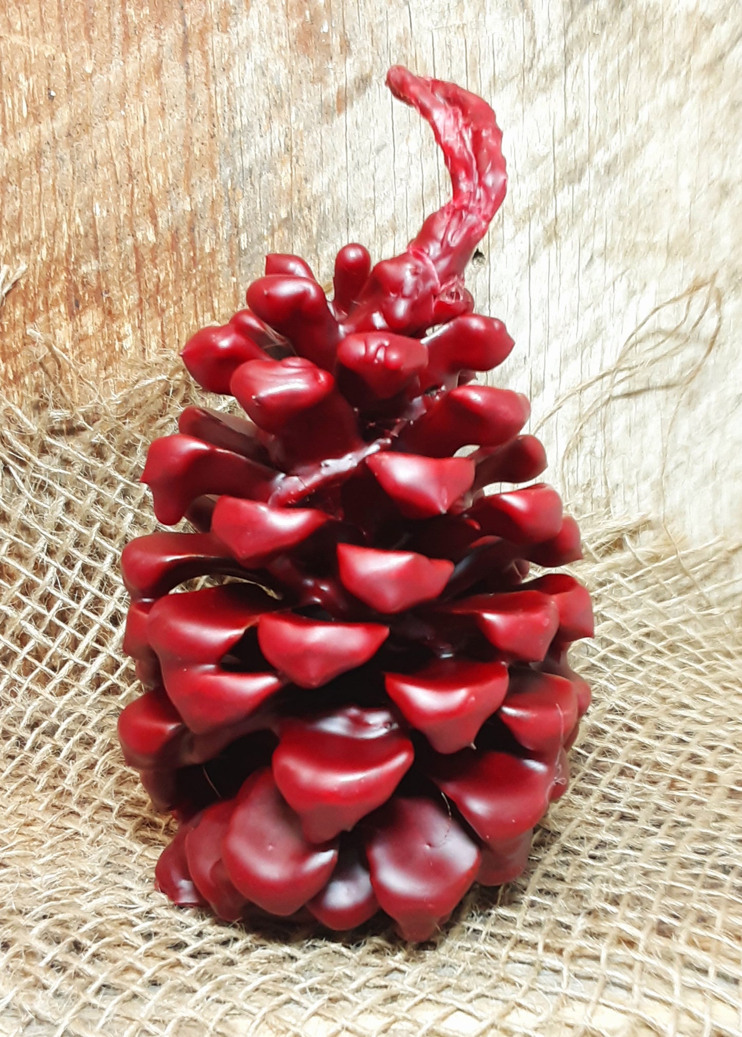 Pinecone, Fire Starter